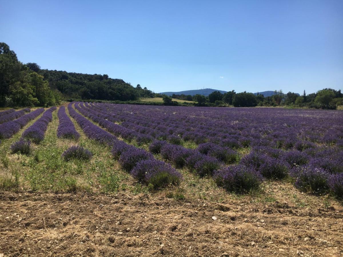 فيلا Le Cube Des Garrigues Vallérargues المظهر الخارجي الصورة